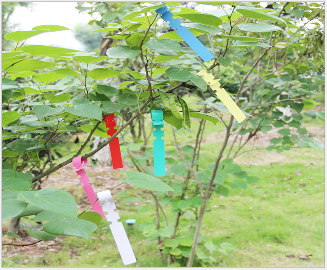 ป้ายชื่อพลาสติก แบบพันรอบ (30 ชิ้น/แพค)