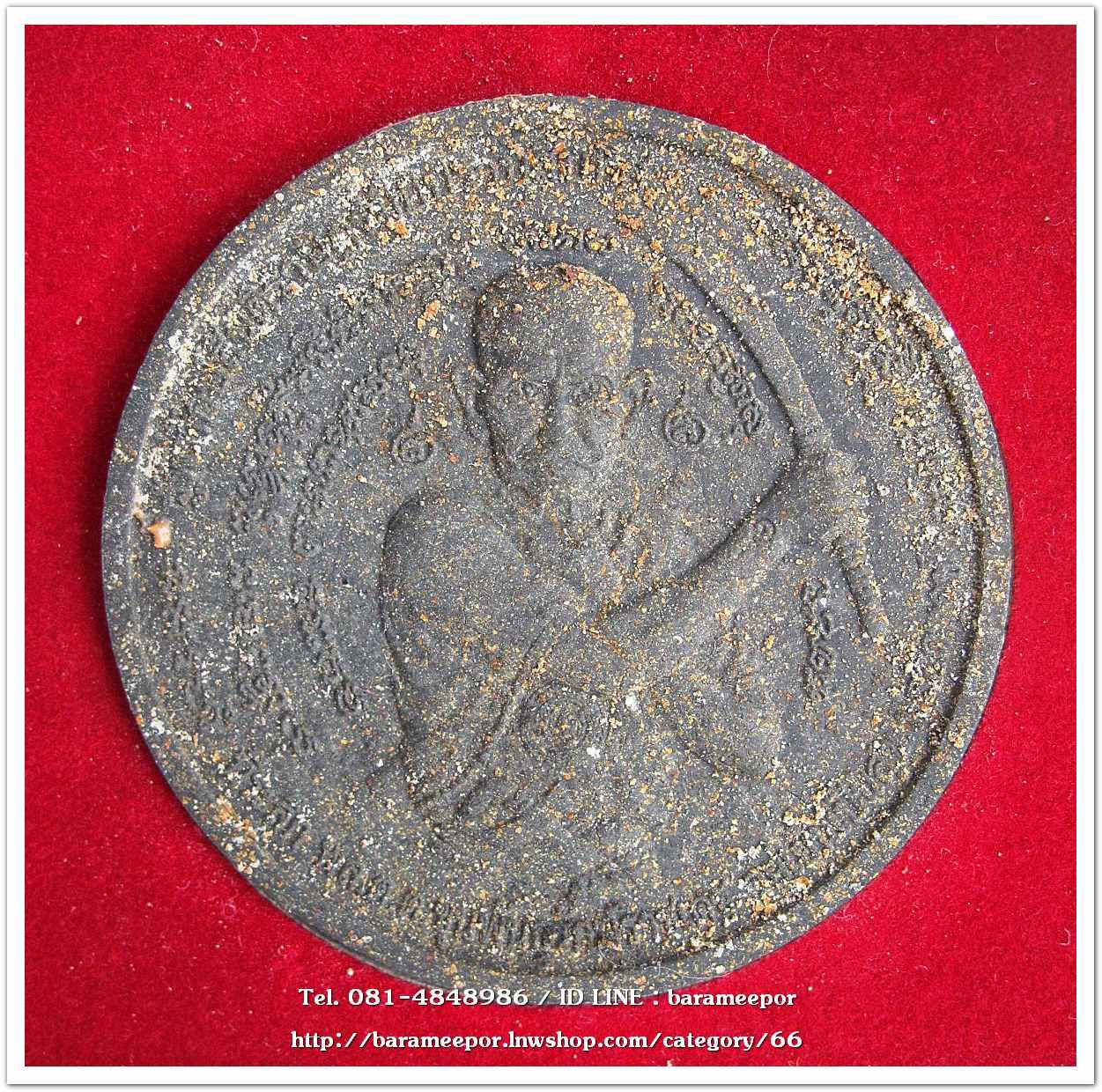 ว่านกลม ขุนพันธ์ มือปราบสิบทิศ เนื้อว่านดำ ขนาด 5 ซม. .2