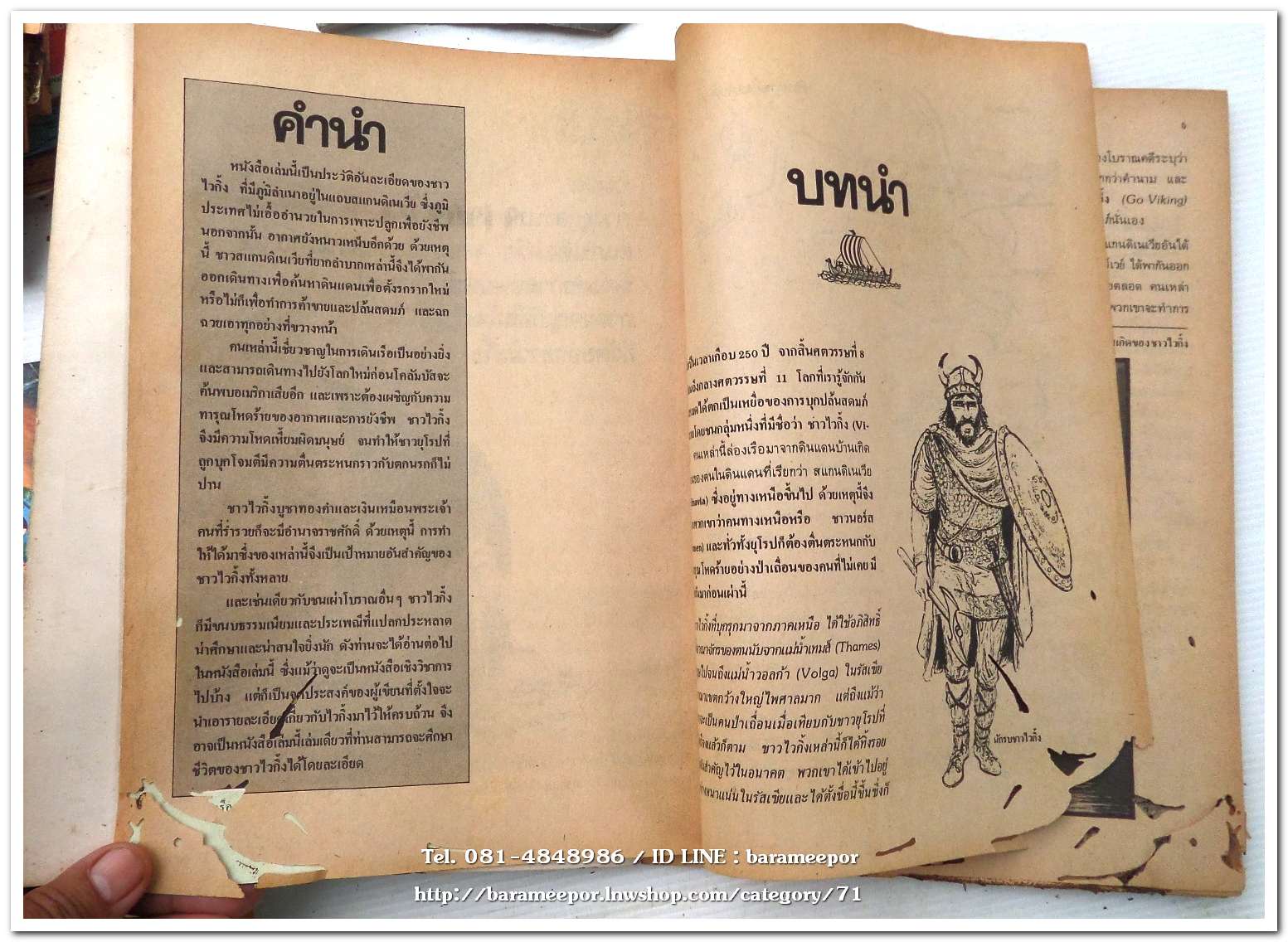 หนังสือ โลกลึกลับของ ไวกิ้ง โดย สำเริง สัมพันธารักษ์