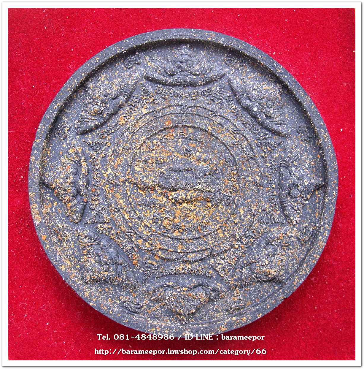 ว่านกลม ขุนพันธ์ มือปราบสิบทิศ เนื้อว่านดำ ขนาด 5 ซม. .2