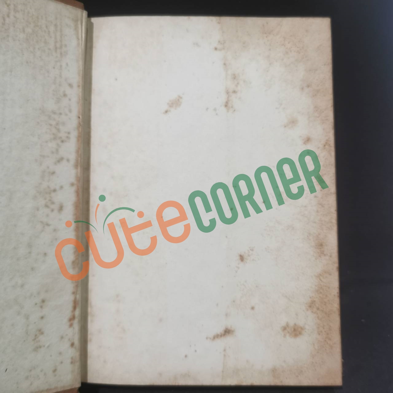 มรสุมแห่งชีวิต