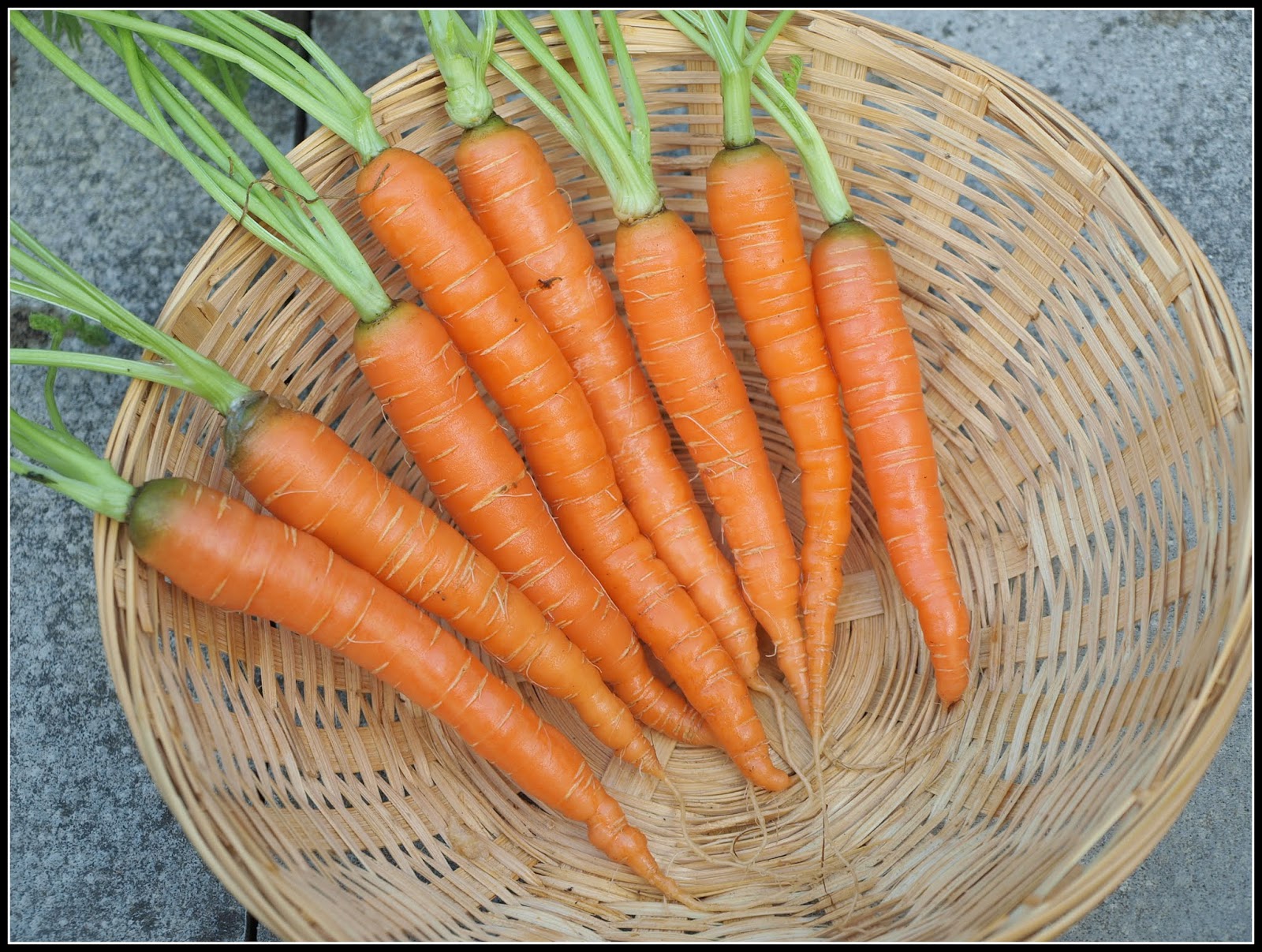 (Whole 1 Oz) แครอทจิ๋ว - Little Fingers Carrot