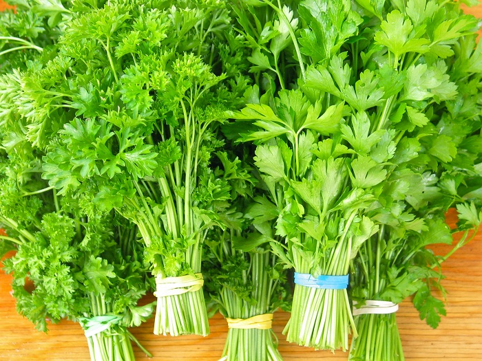 (Whole 1 Oz) พาสเลย์อิตาเลี่ยนใบใหญ่ - Flat Leaf Italian Parsley