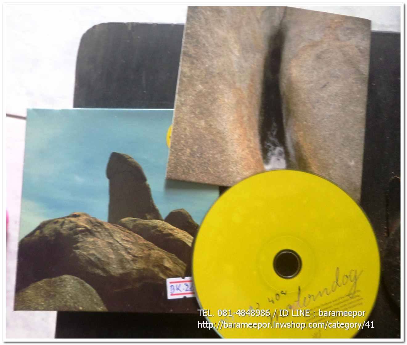 ซีดี. Moderndog ชุด ทิงนองนอย