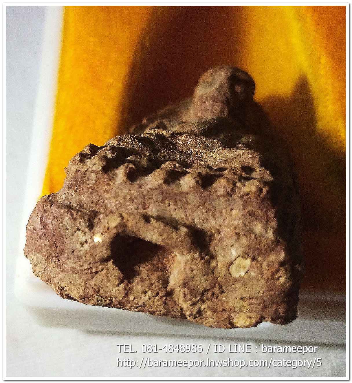 หลวงพ่อทวด พิมพ์ใหญ่ เนื้อว่านเสน่ห์จันทร์แดง คราบน้ำว่าน (ขอบ 2 ชั้น) หลังข้าวสารหิน รุ่นปาฏิหาริย์ วัดห้วยมงคล..2