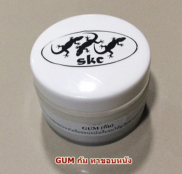 GUM กัม ทาขอบหนัง