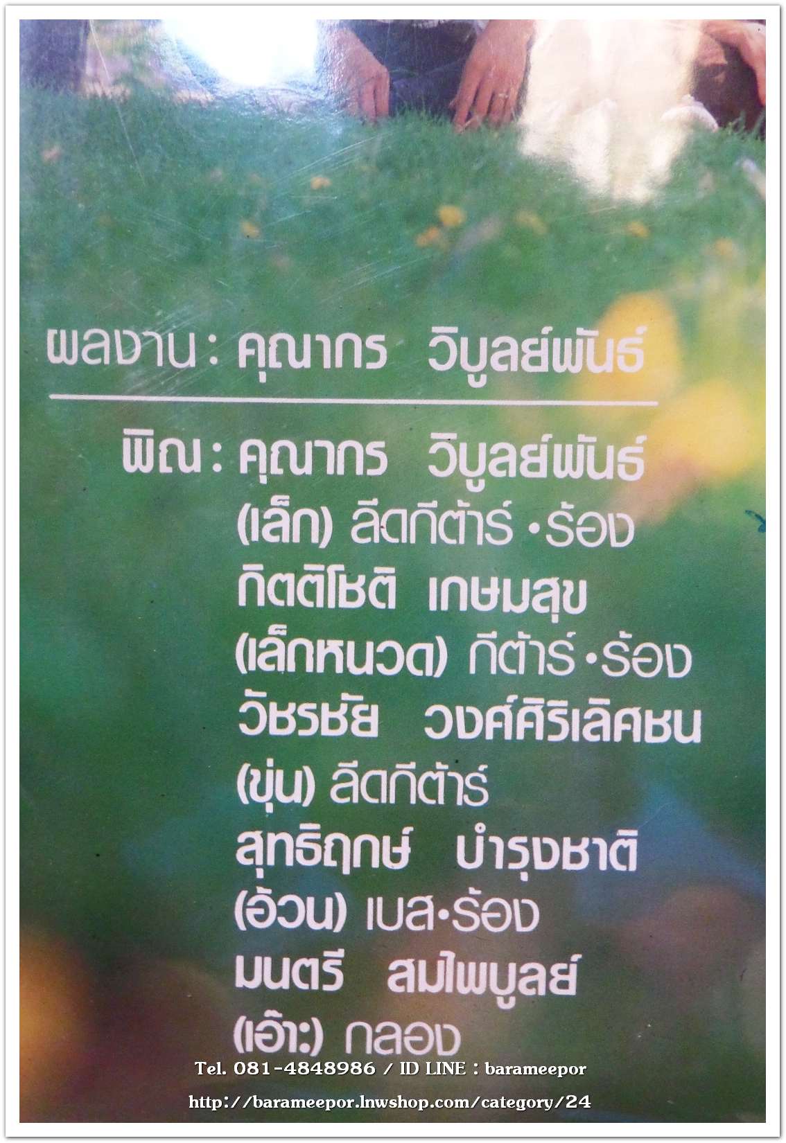 วงพิณ ชุด เช้าวันใหม่