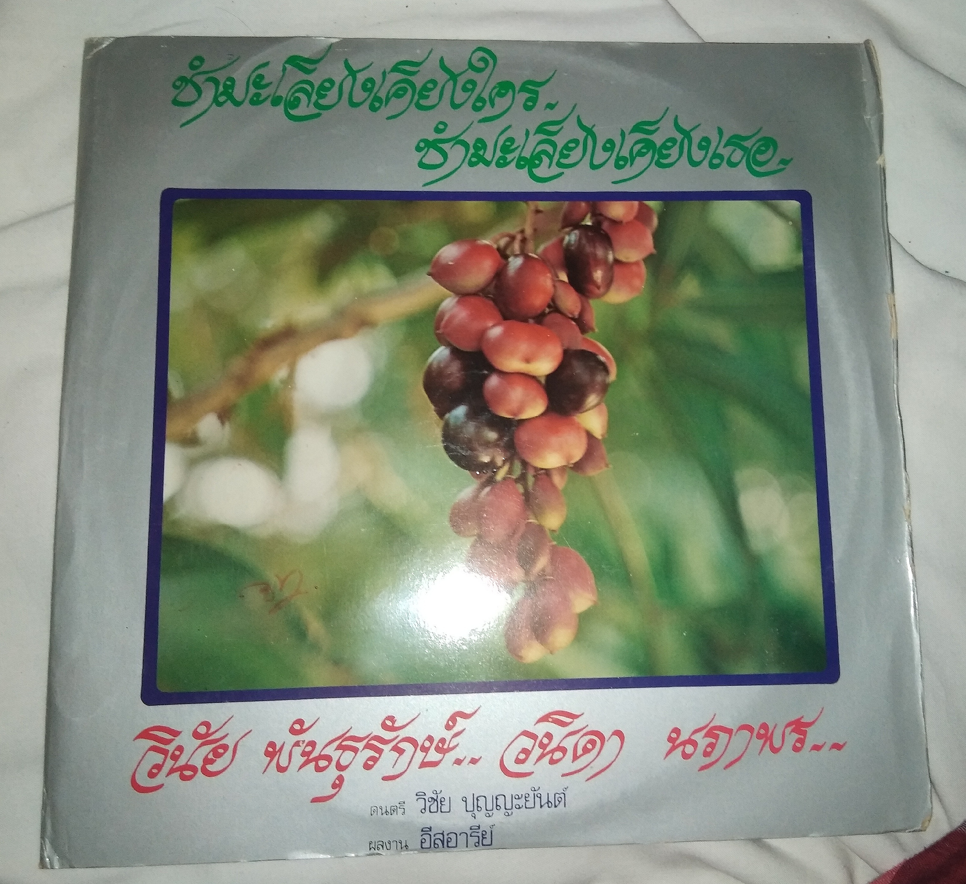 วินัย พันธุรักษ์ วนิดา นภาพร ชุด ชำมะเลียงเคียงใคร ผลงานเพลง อีสอารีย์ ดนตรี วิชัย ปุญญะยันต์