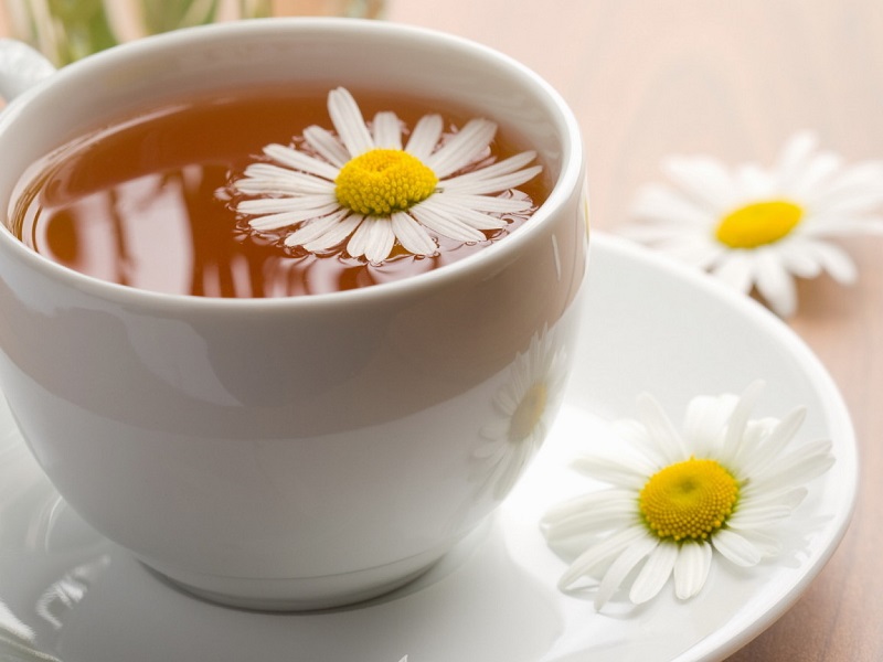 คาโมมาย เยอรมัน - Common German Chamomile