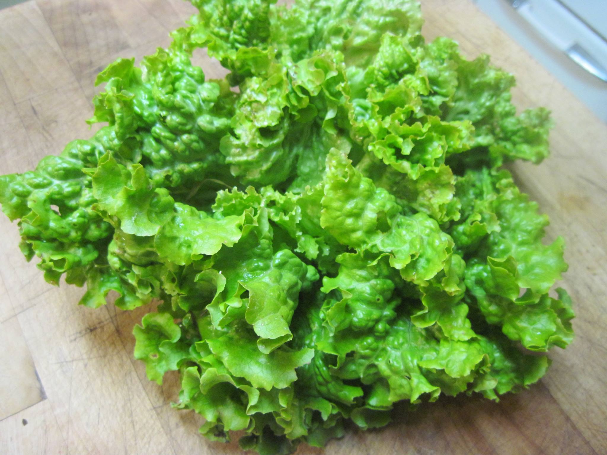 สลัดกรีนไอซ์ - GreenIce Lettuce