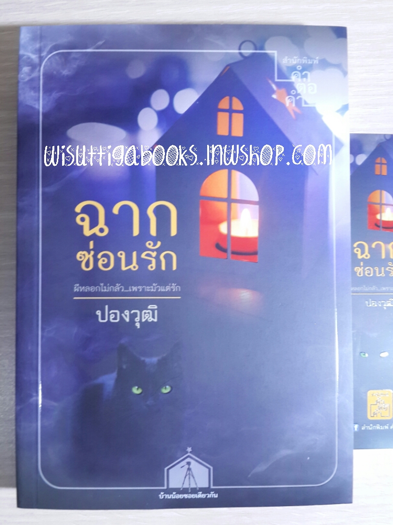 ฉากซ่อนรัก โดย ปองวุฒิ
