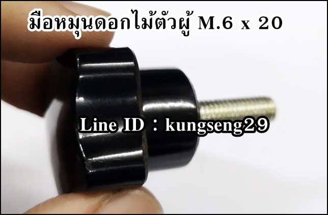 มือหมุนดอกไม้ตัวผู้ห้าแฉก M.6 x 20 (หัว 30 mm)