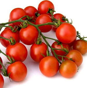 มะเขือเทศ ซุปเปอร์ สวีทฮันเรด - Super Sweet100 Tomato F1