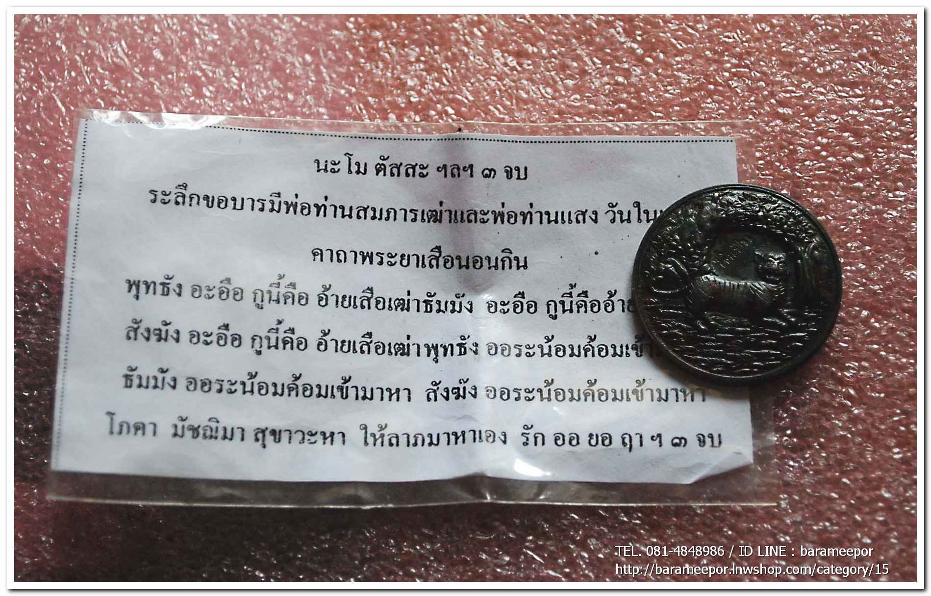 เหรียญพญาเสือนอนกิน รุ่นแรก ปี 2548 พระอาจารย์ประสูติ วัดในเตา จ.ตรัง