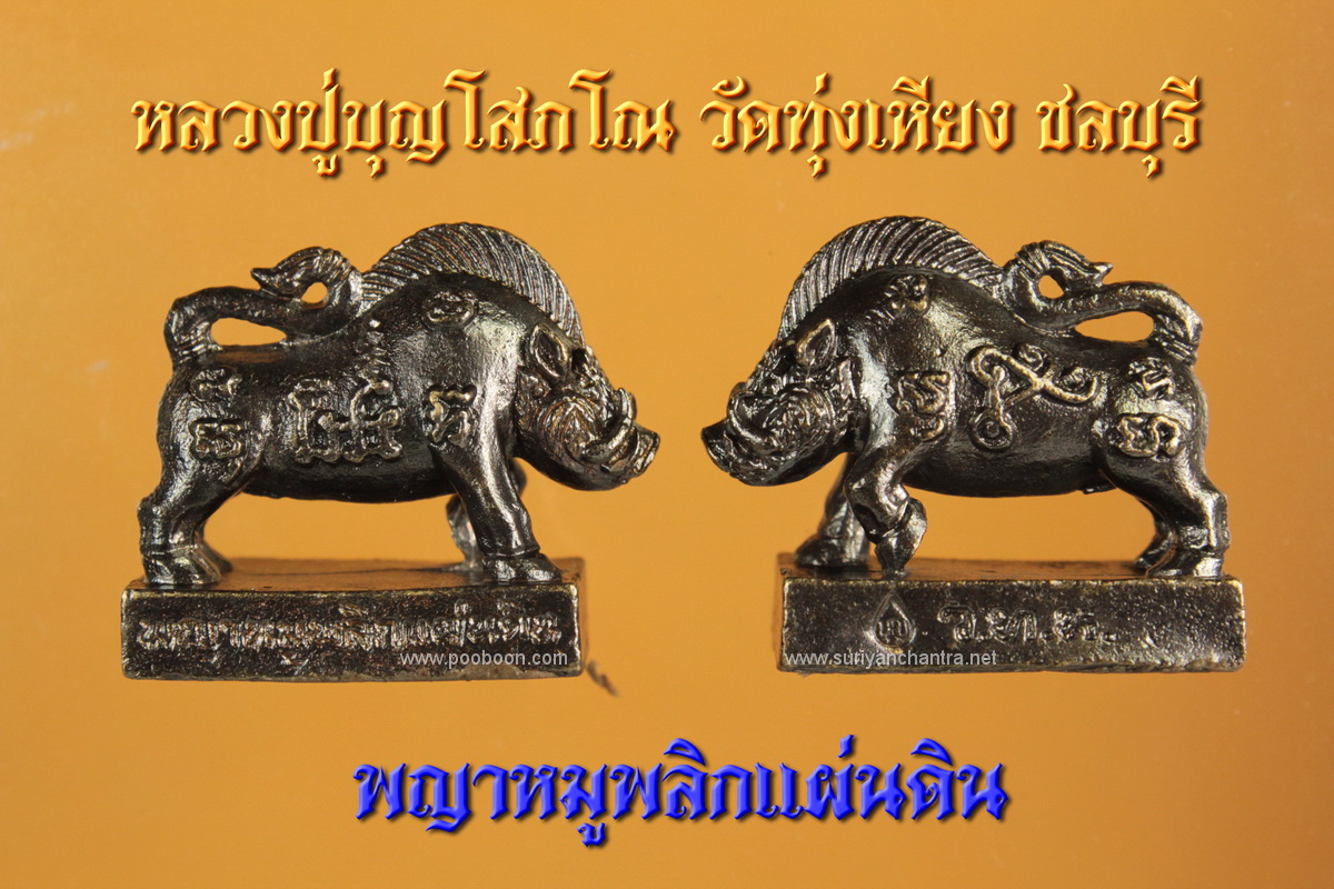 พญาหมูพลิกแผ่นดิน หลวงปู่บุญ รุ่น 2 (2559)