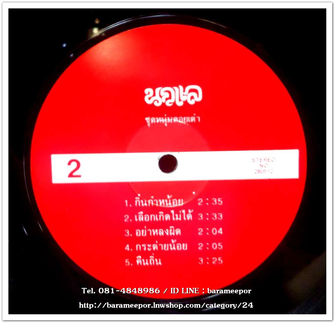 วงนกแล ชุด หนุ่มดอยเต่า อัลบั้มแรก