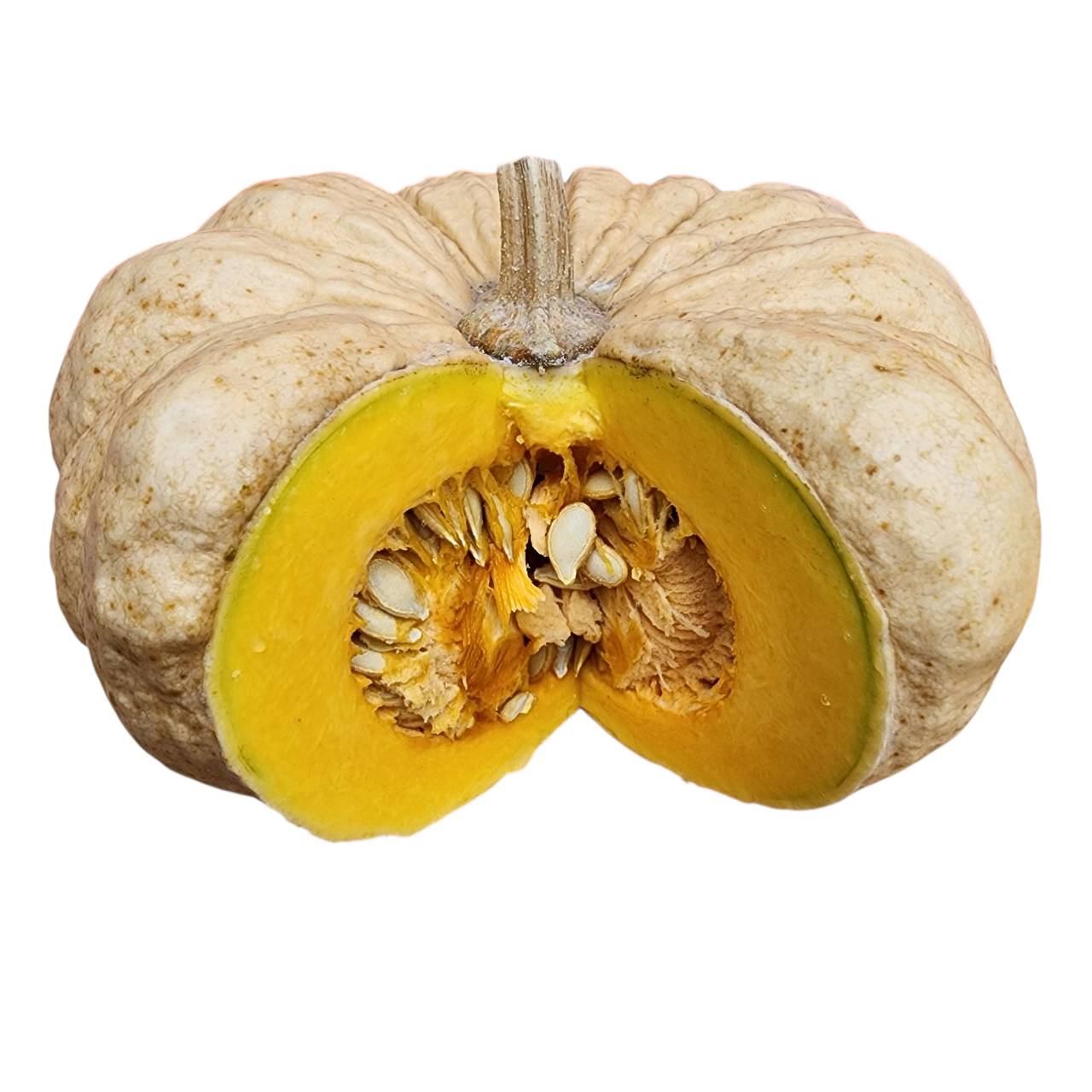 เมล็ดพันธุ์ ฟักทอง ไข่มันลืมผัว - Khai Man Luem Phua Pumpkin Seed