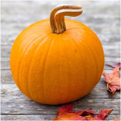 ฟักทองสมอลชูก้า - Small Sugar Pumpkin