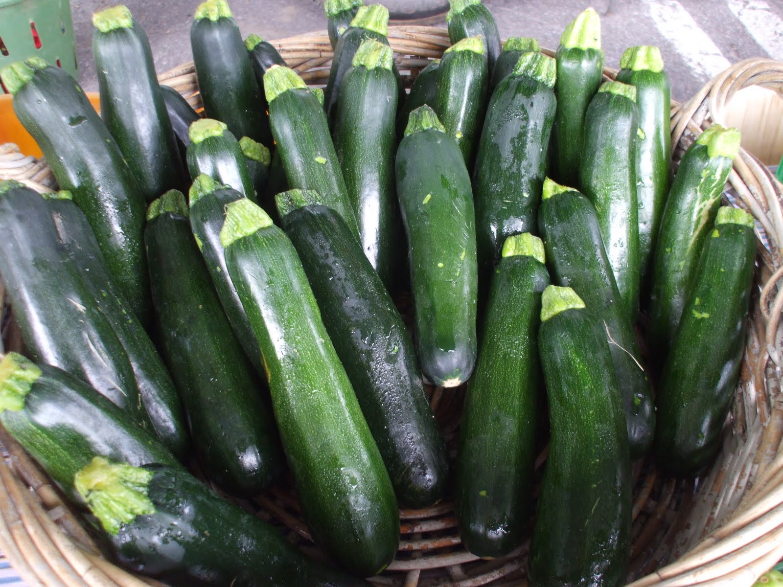 ฟักทองซูชินี่ แบล็คบิวตี้ - Black Beauty Zucchini Squash
