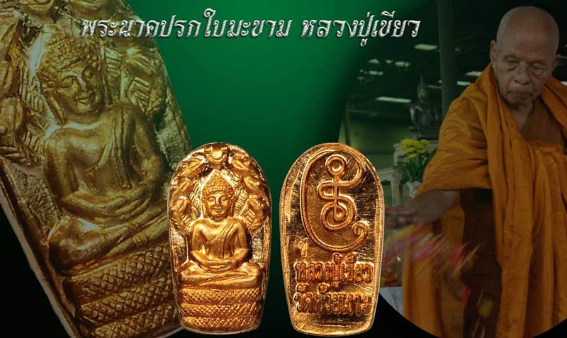 * 10 เหรียญ* เหรียญพระนาคปรกใบมะขาม รุ่นประทานพร พ่อท่านเขียว วัดห้วยเงาะ ปัตตานี ปี 2558