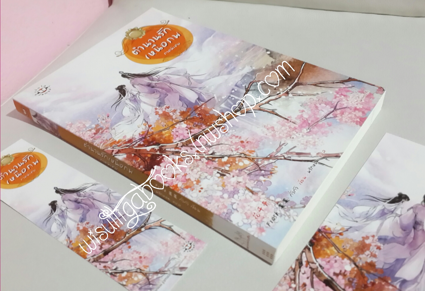 ตำนานรักเหนือภพ ภาคพิเศษ โดย กั่วกัว