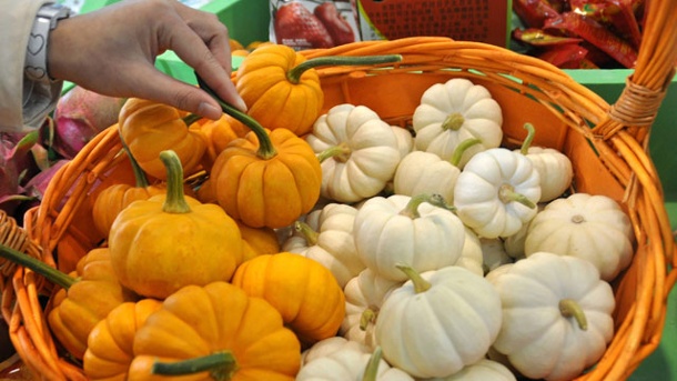 ฟักทองฮาโลวีนจิ๋ว แจ๊คบีลิตเติล - Jack Be Little Pumpkin