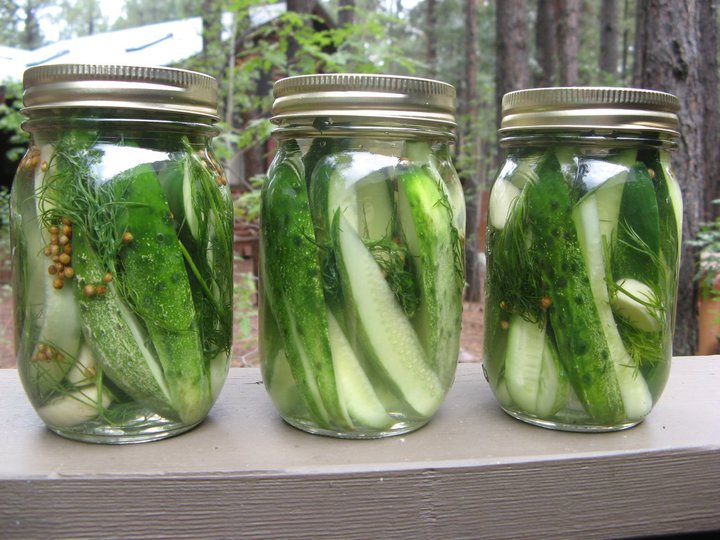แตงกวา โฮมเมด พริคเคิล - Homemade Pickles Cucumber