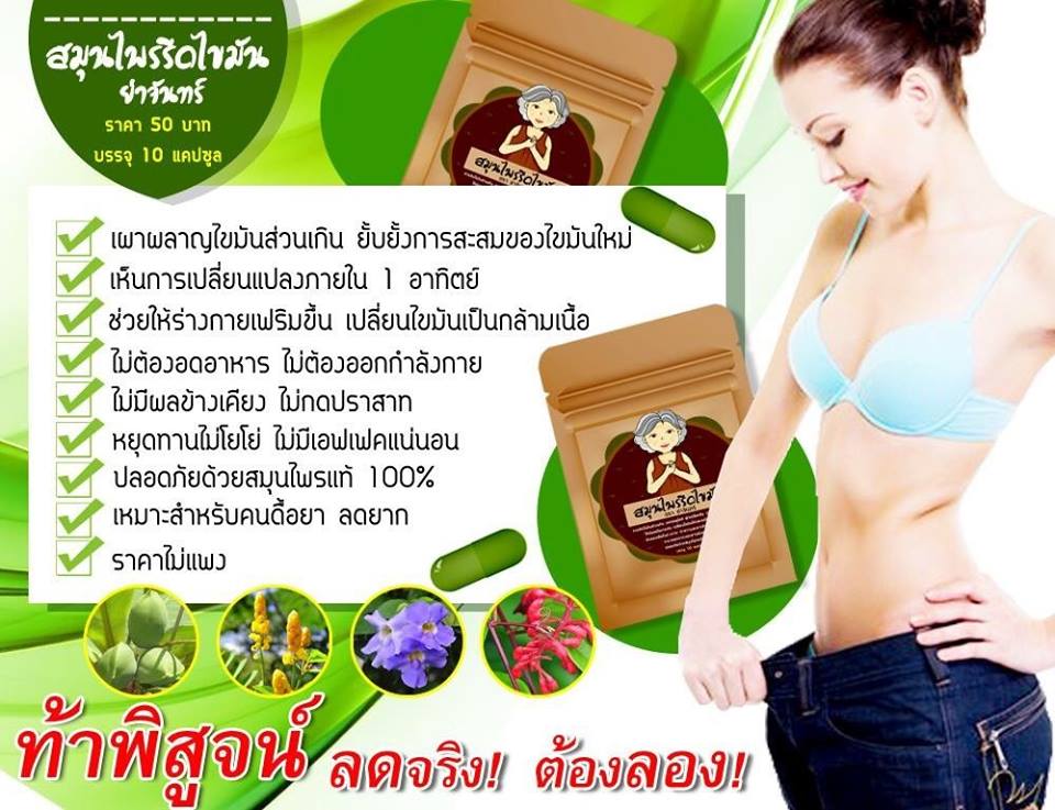 สมุนไพรรีดไขมัน ย่าจันทร์ ราคา 50 บาท 12 ซอง 40 บาท