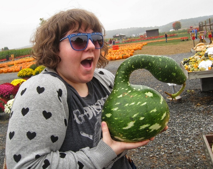 น้ำเต้าคอหงส์ - Gooseneck Swan Gourd