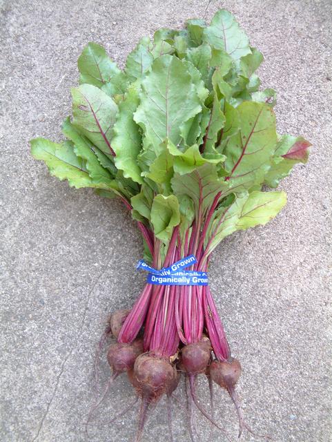 หัวบีช พันธุ์เออรี วอนเดอร์ - Early Wonder Beet