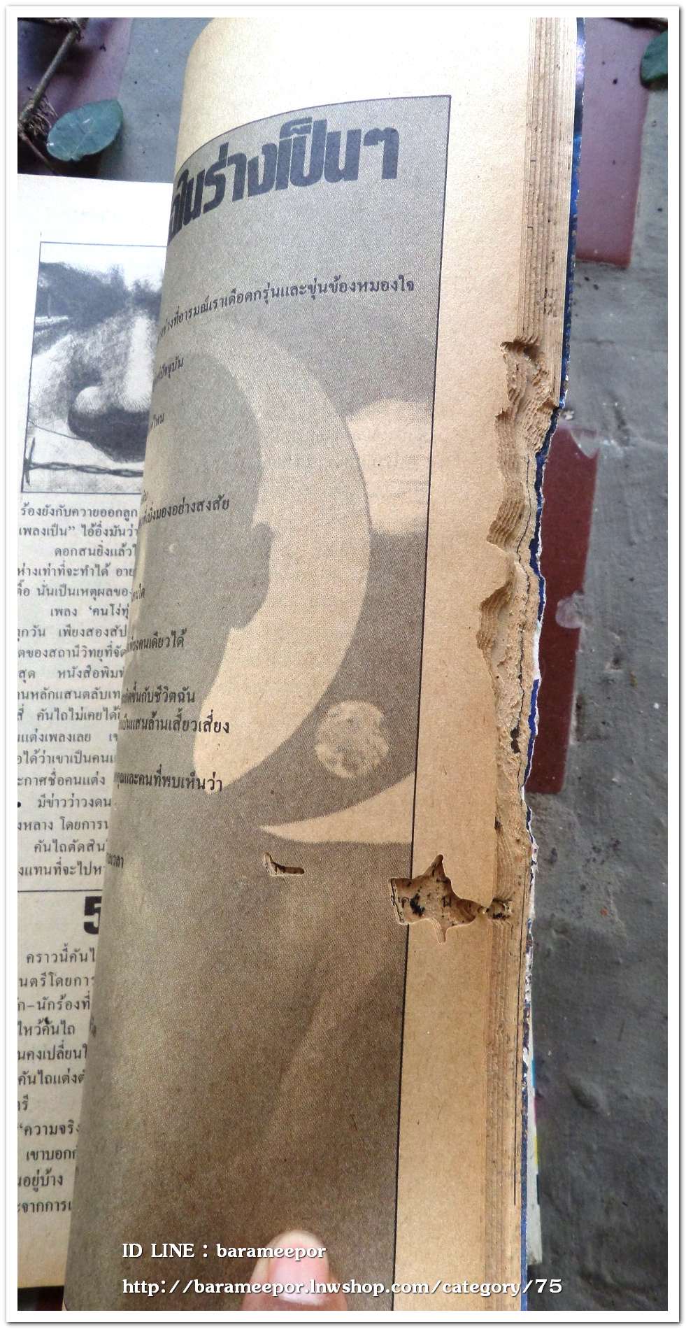 นิตยสาร หนุ่มสาว ปี 2526 สภาพมีรอยขาดด้านข้าง ตามภาพ