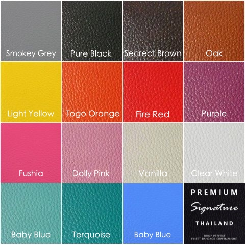 ตัวอย่างสีหนัง 15 สี