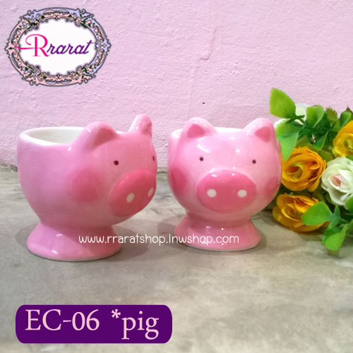 EC-06 *pig