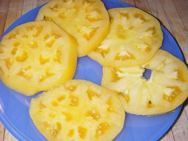 มะเขือเทศ แบนดี้ไวน์สีเหลือง - Yellow Brandywine Tomato