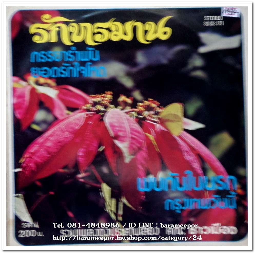 เพลงประสานเสียง คณะชาวเมือง ชุด รักทรมาน