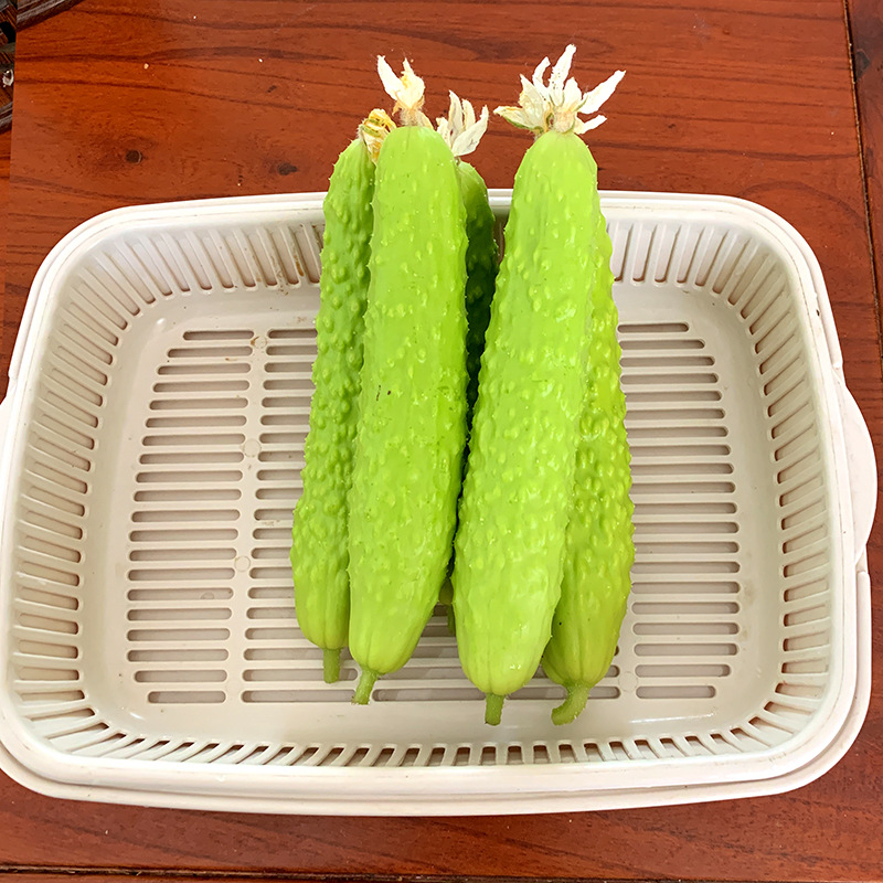 เมล็ดพันธุ์ แตงกวาญี่ปุ่น ไวท์เจด White Jade Japanese Cucumber F1 Seed