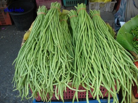 ถั่วฝักยาวออเรียนทอล - Oriental Yard Long Bean