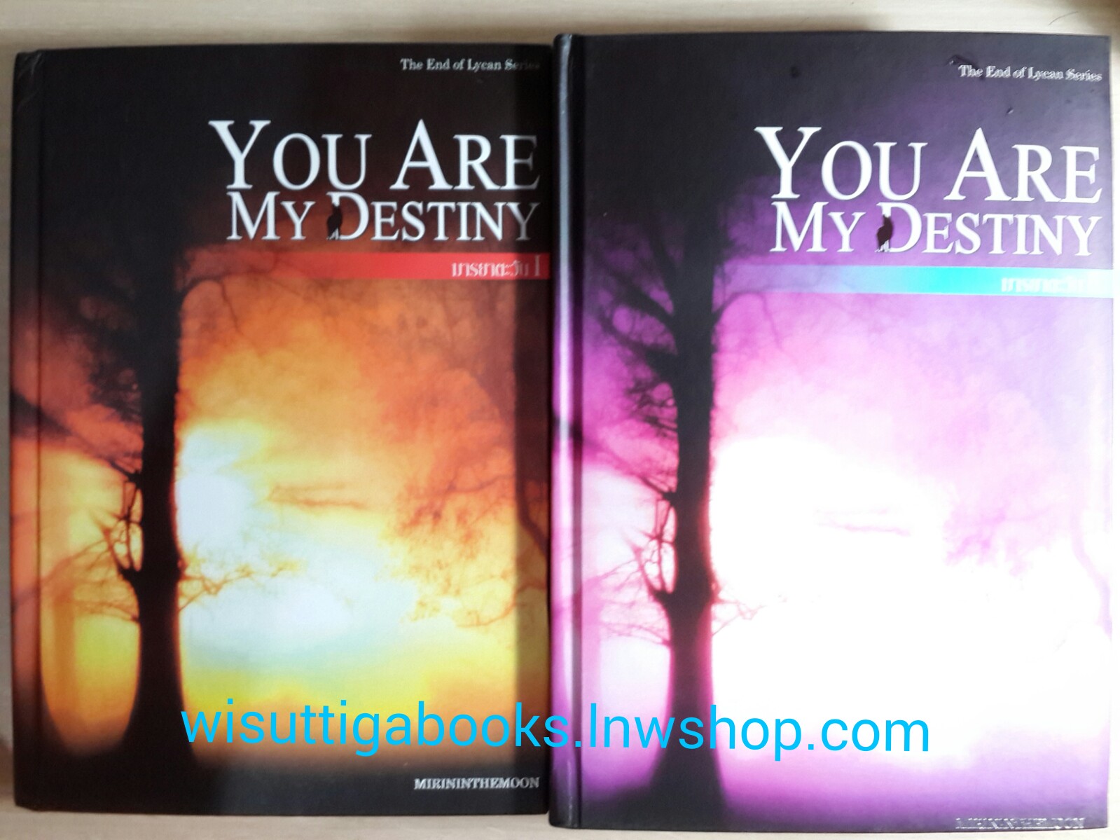 มารยาตะวัน1+2 You are my destiny โดย MIRININTHEMOON