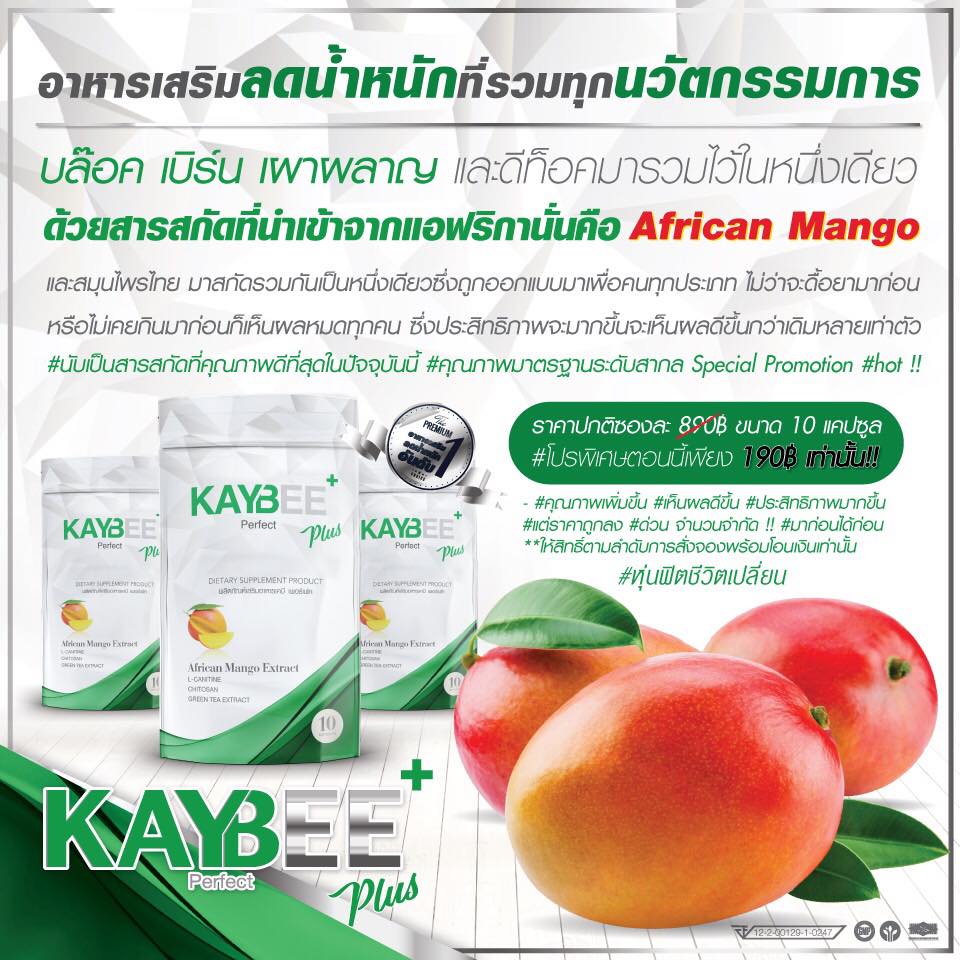 Kaybee Perfect Plus เคบี เพอร์เฟค พลัส