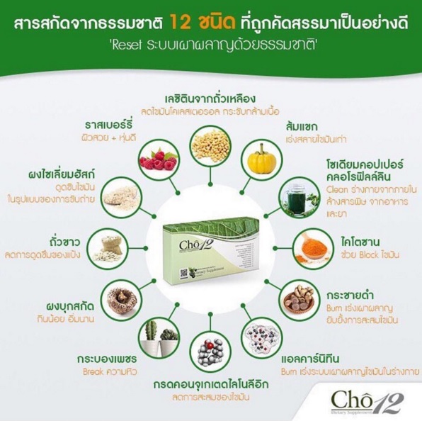 Cho12 โช ทเลวฟ์