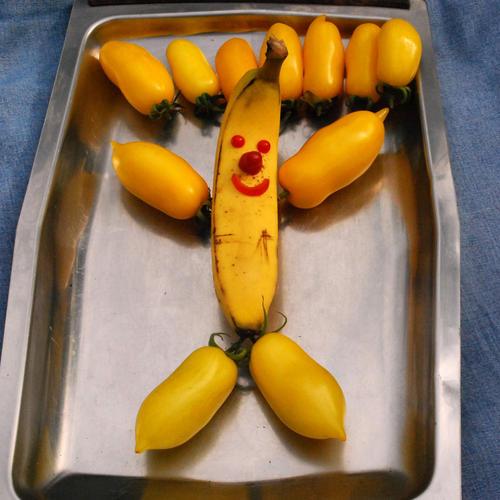 มะเขือเทศกล้วยสีเหลือง - Yellow Banana Lag tomato