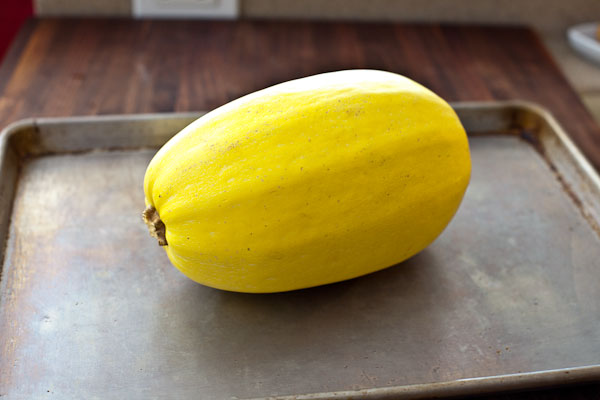 เมล็ดพันธุ์ ฟักทอง สปาเก็ตตี้ - Spaghetti Squash Seed