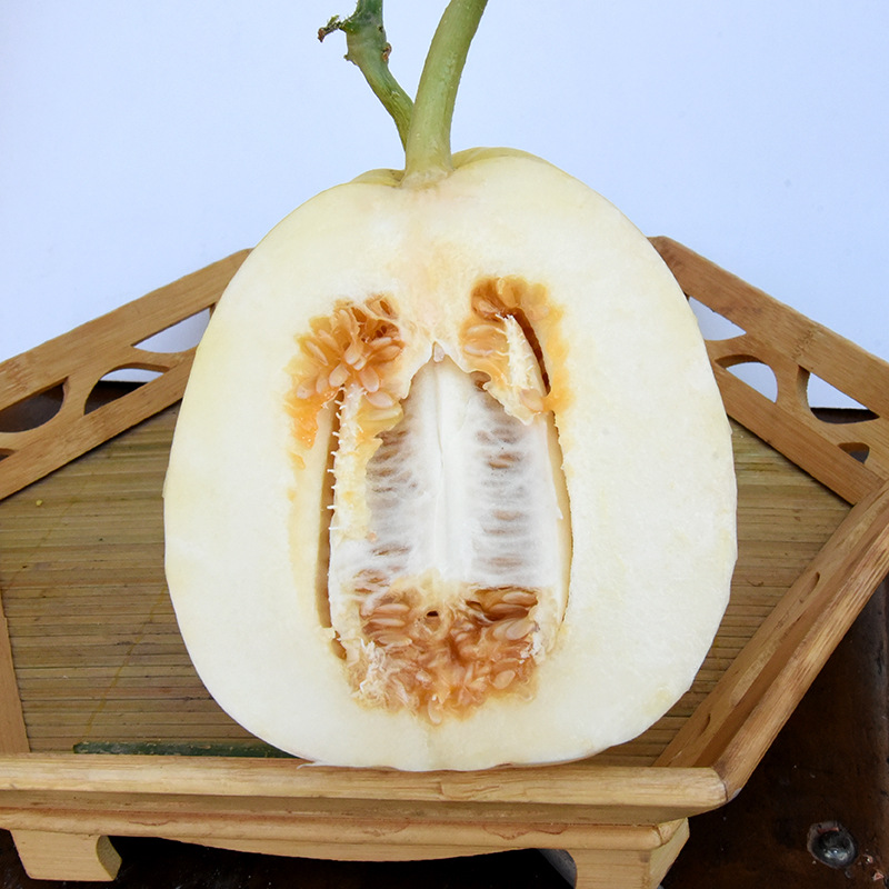 เมล็ดพันธุ์ เมล่อน คริสปี้แพร์เยลโล่ Crispy Pear Yellow F1 Melon Seed