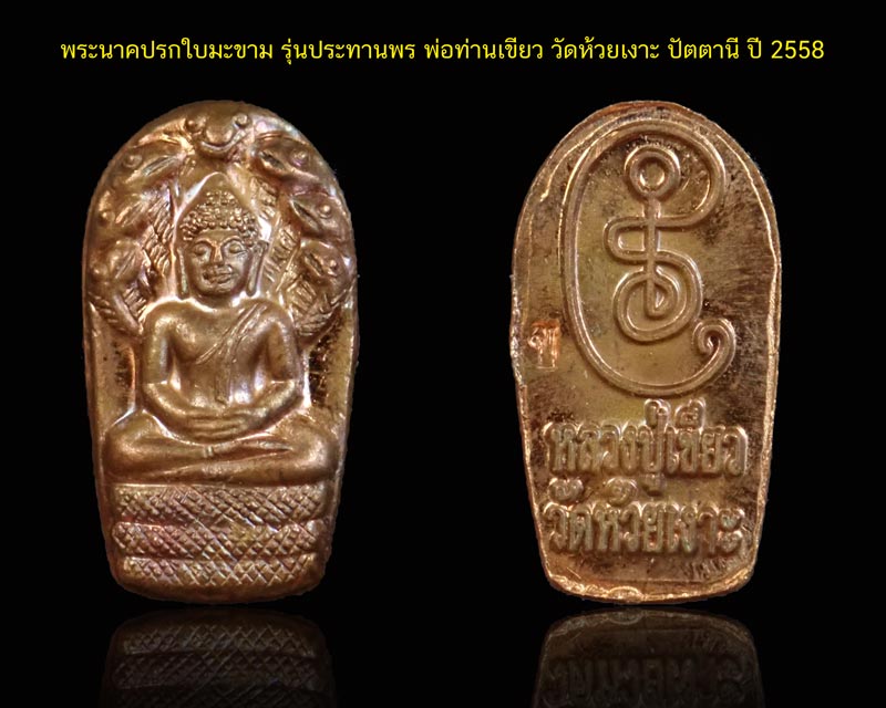 เหรียญพระนาคปรกใบมะขาม รุ่นประทานพร พ่อท่านเขียว วัดห้วยเงาะ ปัตตานี ปี 2558 เนื้อทองแดง