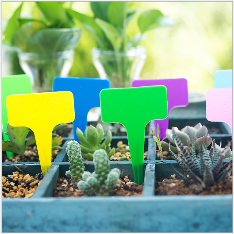 ป้ายชื่อพลาสติก แบบตัว T (20 ชิ้น/แพค)