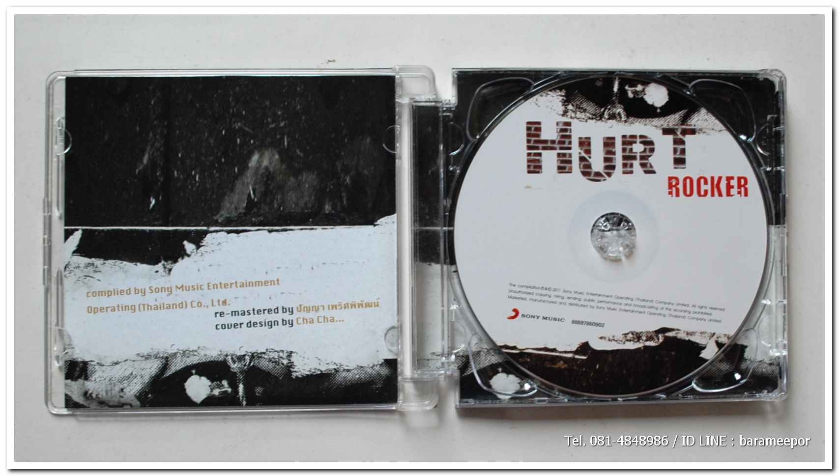 HURT ROCKER เพลงร็อค ในอารมณ์ผิดหวัง จากหลายศิลปินดัง แผ่นสภาพสวย