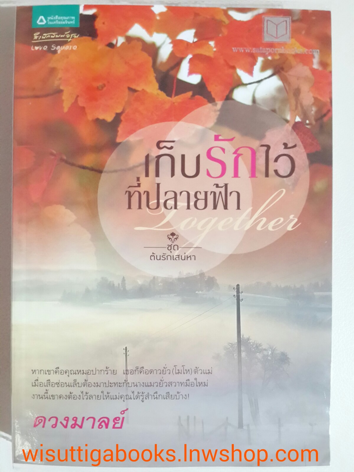 เก็บรักไว้ที่ปลายฟ้า /ดวงมาลย์