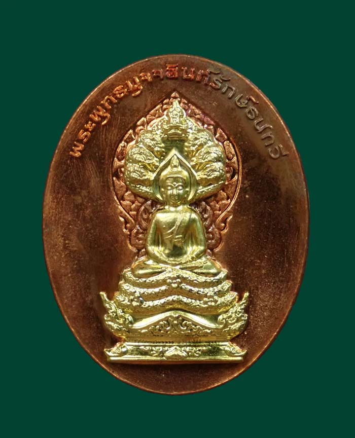 เหรียญนาคปรก 7 เศียรพระพุทธมุจจลินท์รักษ์ธนทวี รุ่นมุจจลินท์มหาโภคทรัพย์ ปี 2557 เนื้อทองแดงหน้ากากทองระฆัง หมายเลข 728