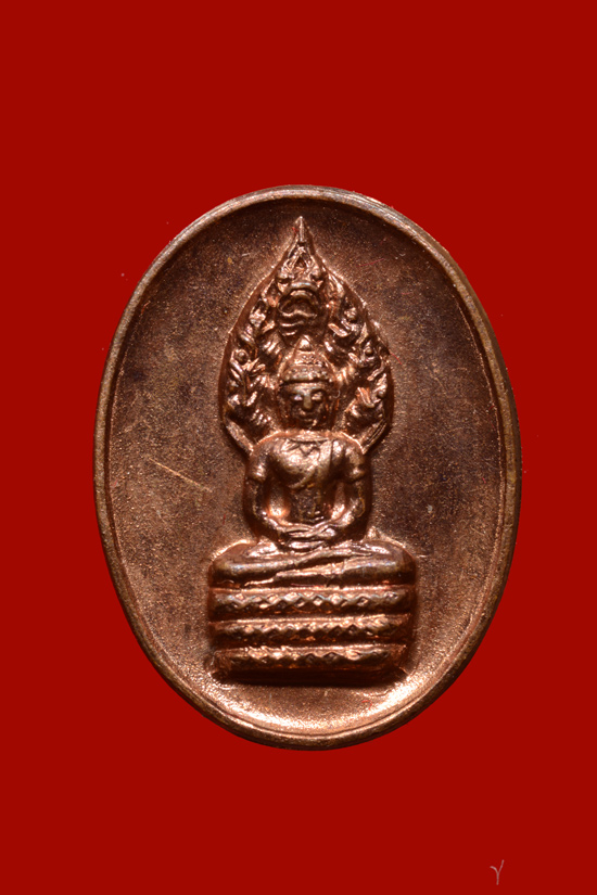เหรียญเม็ดแตงนาคปรกพ่อท่านจันทร์ วัดทุ่งเฟื้อ พ.ศ.2527 (หายาก)
