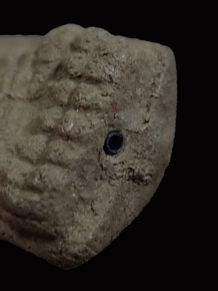 หลวงพ่อทวด อาจารย์ทอง วัดสำเภาเชย รุ่นสุวรรณมงคล ปี 2548 เนื้อว่านพิมพ์ใหญ่ฝังตะกรุด